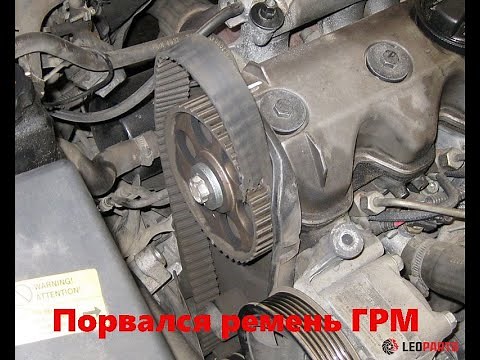 Citroën Nemo 1.4 73ch remplacement courroie de distribution | Engine Timing belt