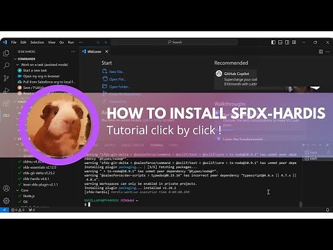 How to install sfdx hardis for an enhanced Salesforce CLI experience in Visual Studio Code !