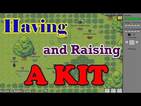 Warrior Cats Untold Tales: How to Have a Kit