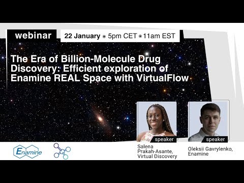 The Era of Billion-Molecule Drug Discovery: Efficient exploration of Enamine REAL Space with Virt...
