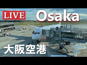 大阪空港JAL日本航空ライブOsaka Airport LIVE(2022/9/4夕方)