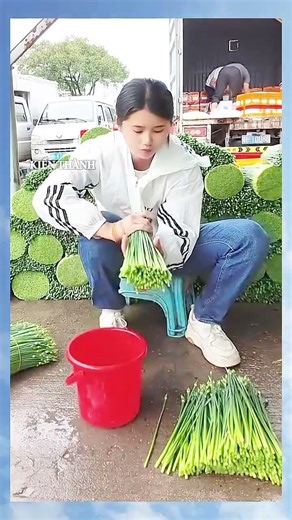 cách bó bông hẹ nhanh quà đẹp mắt của cô gái nầy#fyp#foryou#nongnghiep#phuckimvlog