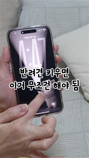 라엘 RaeL on Instagram: "우리 강아지가… 숨막히고 긔엽게 움직여요 🐶💫 AI로 반려견 라이브 배경화면 만들기 완성 ✔️ 진짜 사진 하나면 끝 ✔️ 따로 편집 필요 없음 ✔️ 잠금화면 열 때마다 심장 아픔(?) 주의 📱 (영상)아이폰 기준 1️⃣ WINK 검색 2️⃣ 메인 화면 → 라이브 배경화면 클릭 3️⃣ 오른쪽 템플릿 선택 4️⃣ 들어간 뒤 아래 ‘직접 만들기’ 클릭 5️⃣ 우리 아이 사진 선택 📸 6️⃣ 조금만 기다리면… 7️⃣ AI가 만들어준 움직이는 우리 아이 완성 🐾 8️⃣ 배경 적용하면 끝! 이거 해보고 “왜 이제 알았지?” 소리 나옴… 진짜로 😭 👉 저장해두고 👉 오늘 당장 우리 애기로 만들어봐요 #꿀팁 #꿀팁정보 #추천아이템 #정보공유 #배경화면"