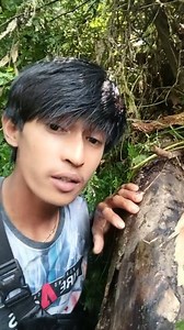 24K views · 164 reactions | Lebah apis celana  #emanmadu | Eman Madu | Facebook