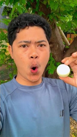 Giai điệu của đá - Ping Pong Ball Melody sj5677 🎼🏓🎶 #shorts