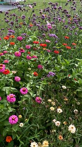 18 reactions · 4 comments | Your reminder to find time to disconnect the router, and reconnect with the beauty of Nature. Keep that weekend feeling going. ✨ #newchaptervitamins #wellness #nature | New Chapter | Facebook