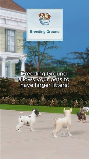 Try Out These Lot Traits For Some Unique Gameplay!