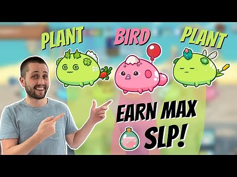 BEST PLANT PLANT BIRD META | AXIE INFINITY