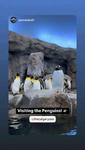 The Calgary Zoo on Reels | Facebook