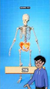 Discoveries and Lessons. Subscribe! #science #culture #education #discovery