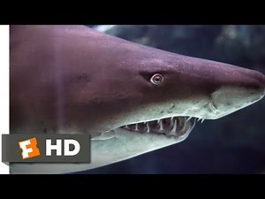 Fishtales (2016) - Swarm Of Sharks Scene (5/8) | Movieclips