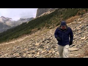 David Attenborough Origin of Life, Conquest HD BBC Documentary Animals & Nature 1