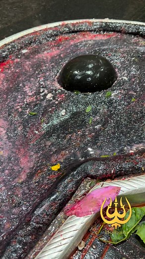 Baba Baidyanath sabhi ka kalyan kare 🙏🔱🙏 | Bolbam