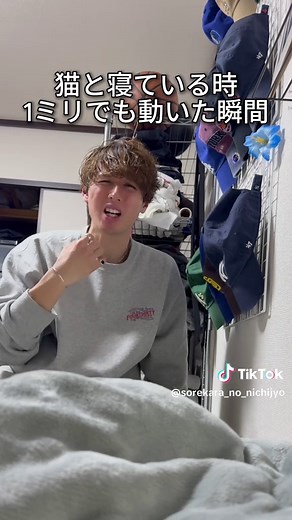 猫の可愛すぎる甘えん坊なやり取り
