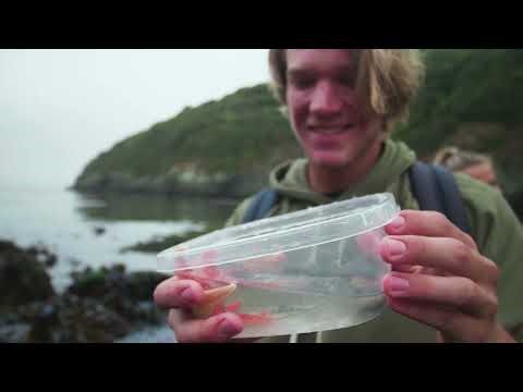 Find Yourself In A Place-Based Learning Community at Cal Poly Humboldt