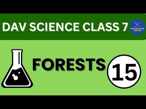 Forests | DAV Class 7 Science Ch-15 | Question Answers | Knowledge Nudge