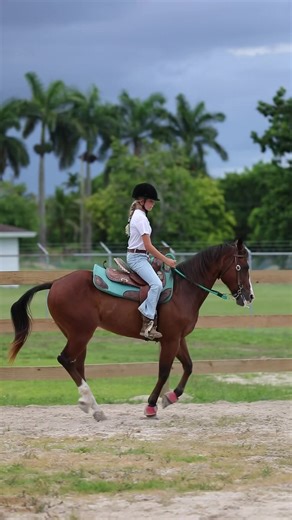 🎉 Still not sure about joining our program? 🎉 Here’s your chance to experience it FREE of charge! 🐴✨ 📅 Sunday, August 31st ⏰ Enjoy a 30-minute lesson where you’ll: ✔️ Visit our facility ✔️ Meet our instructors ✔️ Learn about our program ✔️ Connect with our amazing horses 🐎💖 🌟 Only 20 spots available for booking—don’t wait! Reserve your spot today and take the first step in your horseback riding journey. 📲 Message us now to claim your spot before they’re gone!