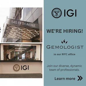 17 reactions | JOB TITLE – Diamond Grader/Gemologist *$45-$55K...