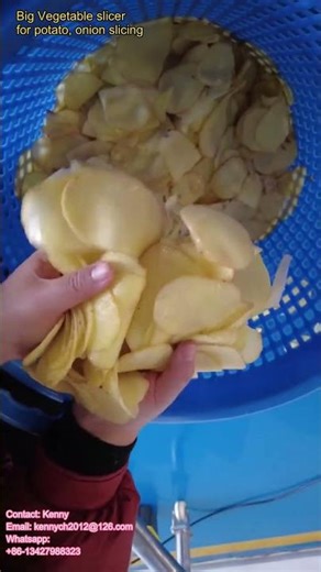 CS-1000 Large slicing/ shredding machine