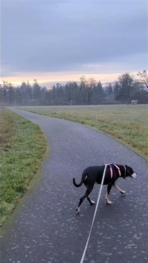 Following the Dog Along the Trail at Champoeg