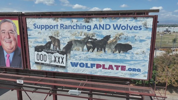 Latest headlines | Billboards tout Colorado license plate funding wolf–rancher coexistence