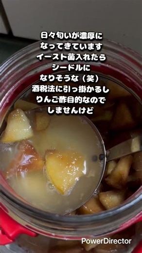 りんご酢作り17日目#自家製 #りんご酢