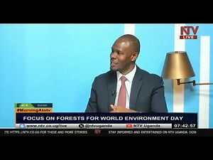 Improving Uganda's Forest Cover: Focus on Forests for World Environment Day