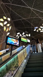 305 reactions · 4 comments | Who says learning can’t be fun? 烙 Grab your friends and get hands-on with science and tech at The Mind Museum’s Technology Gallery! Get your tickets now at bit.ly/TMMTicket or at our onsite ticket booth. See you!  | The Mind Museum | Facebook