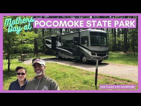 Camping at Pokomoke State Park in Maryland on Mother's Day