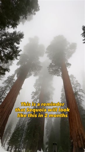 517 reactions · 22 shares | Tips on HOW to visit during WINTER❄️...