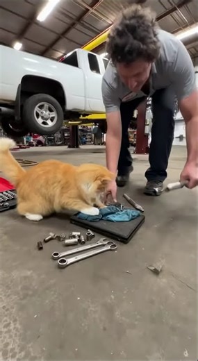 Auto shop chaos! “Mechanic vs furry saboteur.”😈 #funnycat #catlovers #catvideos