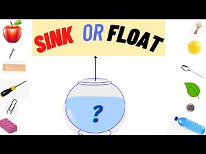 Sink or Float Activity For kids | Science activity | Sinking and Floating Activity For Kids