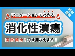 【必修に相当出題】胃潰瘍を解説 胃の解剖生理も分かる！
