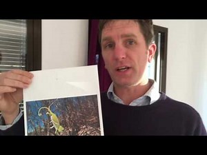 Cheapest printer - home printing, how to get the lowest cost per page from a home printer.