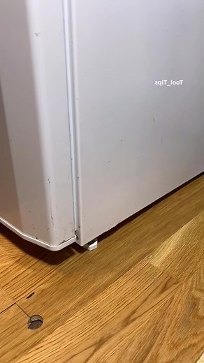 DailyVidClips🔥 (@dailyvidsclip)’s videos with original sound - DailyVidClips🔥