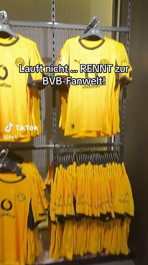 Borussia Dortmund on TikTok