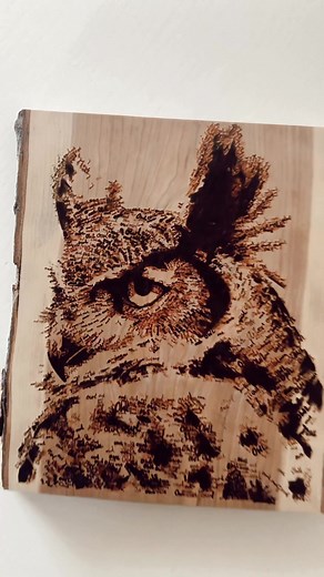 There’s a hidden word that’s not owl. Did you see it? #woodburning #pyrography #woodart
