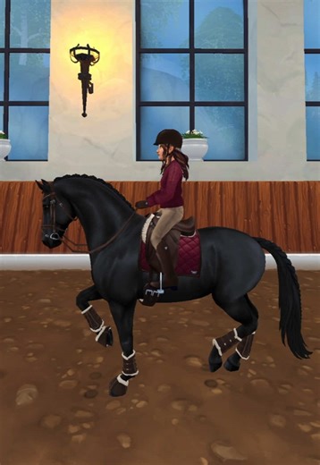 Dressage horse! #starstable #sso #starstableonline #dressage #horse