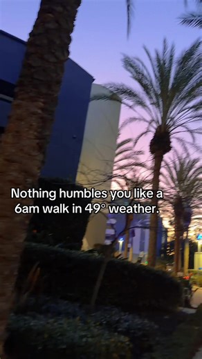 Morning Walks with Golden Retrievers in Chilly Weather