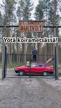 Yötä koirametsässä!! Tällänen kannattaa kokeilla! #koirametsä #koira #dog #retkeily