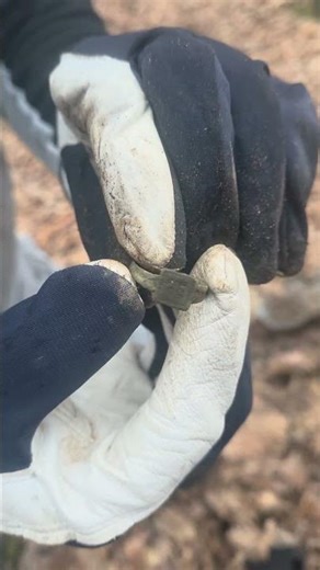 Prin pădure am găsit un inel pierdut de cineva acum 100 poate 200 de ani