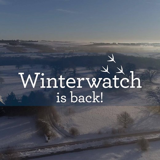 Winterwatch is back! Join us on BBC Two from 29th January ❄️ | BBC Springwatch