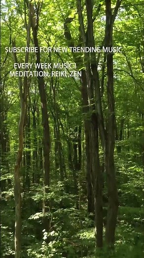 Spirituele helende muziek Verhoog je bewustzijn in 10 minuten