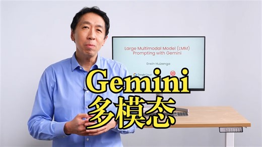 吴恩达《使用Gemini进行大型多模态模型提示|Large Multimodal Model Prompting with Gemini》（豆包翻译_哔哩哔哩_bilibili