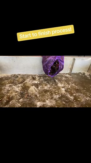 Boiling 400 pounds of crawfish! Start to finiah process. #landrys #swamppeople #jacoblandry #troylandry #fyp #fye #crawfish #crawfishboil @Ridge Landry @the_troylandry @Moose Lee @Don Katt Daddy Brewer