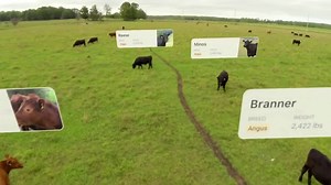 Organize anything with Airtable. It's flexible, beautiful, and free. | Airtable