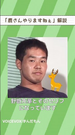 鹿さんやりますねぇを解説！#野獣先輩 #しかのこのこのここしたんたん #鹿 #やりますねぇ