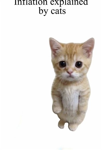Inflation Explained by Cats in Fun Animations