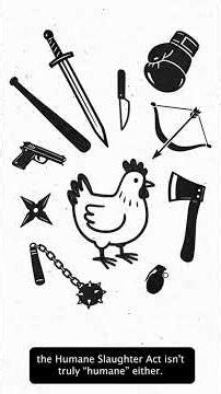Chickens and the Humane Slaughter Act