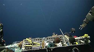 Nautilus Channel 1 Cam